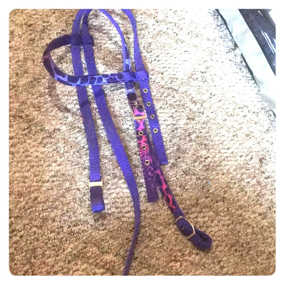 Tough 1 Wild Safari Western Headstall